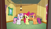 S03E4 Scootaloo opowiada Babs Seed o ich klubie