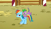 Spike on the back of Rainbow Dash S1E13