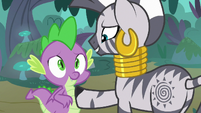 Zecora happy for Spike S8E11