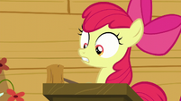 Apple Bloom opens her eyes and look at her friends S6E4
