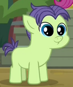 Cucumber Seed ID S7E21.png