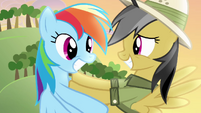 Daring Do pushing Rainbow away S4E04