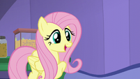 Fluttershy "I'm sure Shining Armor will love it" S5E19