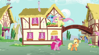 Fluttershy and Dash fly over Pinkie and Applejack S6E11