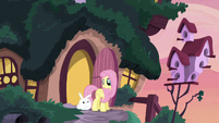 Fluttershy looking at Angel S5E3