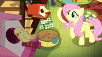 Fluttershy looking at a sleeping canary S8E18