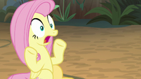 Fluttershy looking shocked at her friends S8E13