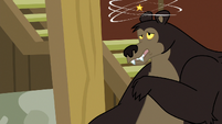 Grizzly bear dizzy S7E5