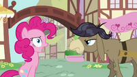 Pinkie gasps at Cranky Doodle Donkey's name S02E18