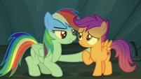 Rainbow Dash comforting Scootaloo S7E16.png (910 KB)