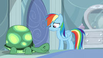 Rainbow Dash contemplating S05E05