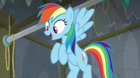 Rainbow Dash getting excited S8E7