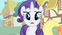 Rarity, that bird is more beautiful than I am?