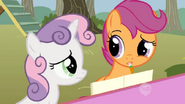 Scootaloo hear that E18-W18