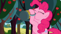 201px-Pinkie Pie drinking cider S2E15