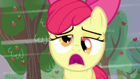 Cross eyed Apple Bloom is a cute Apple Bloom.