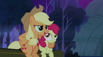 Applejack questioning Rainbow Dash's story