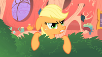 Applejack -you shoulda tried harder- S1E08