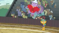 Appleloosa defender catches ball with her abs S6E18.png (978 KB)