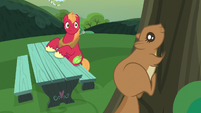 Big Mac sees squirrel climbing a tree S9E23