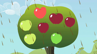 Big apples S2E01