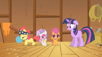 CMC happily showing their medals to Twilight S1E18