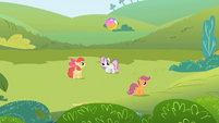 The CMC aren't trying to get their cutie marks for once.