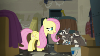 Fluttershy "I'd like you all to stay here" S6E9