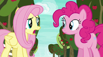 Fluttershy --never even heard of buckball-- S6E18