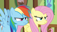 Fluttershy and Rainbow glaring at Zephyr S6E11