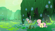 Fluttershy and Zecora in the swamp S7E20