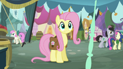 Fluttershy staring S2E19