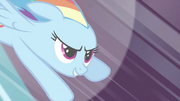 Rainbow Dash 'Best. Wedding