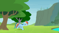 Rainbow walking out from behind the tree S4E10