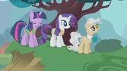Rarity10 S01E11