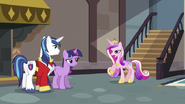 S02E25 Cadance podchodzi do narzeczonego i Twilight