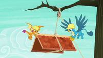 Smolder and Gallus move roof to the right S8E9