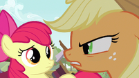 Said something that didn't go right with Applejack.