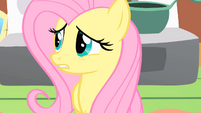 Fluttershy don't break S1E17