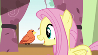 Fluttershy greeting Constance S6E11