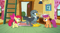 Gabby suddenly hides her cutie mark S6E19