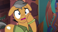 Quibble Pants in complete disbelief S6E13