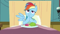 Rainbow Dash repast S02E16