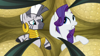 Rarity still can't understand Zecora S8E11