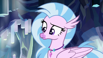Silverstream looking at the rocks S8E22