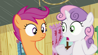 What a long neck you have Scootaloo. Remember in Hearts and Hooves Day?