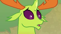 Thorax surprised into silence S7E15.png (576 KB) ...