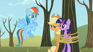 Twilight und Applejack sind an einen Baum gefesselt