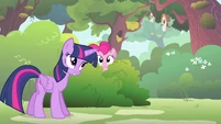 "Stage fright isn't a disease, Pinkie."
