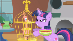 A Bird in the Hoof